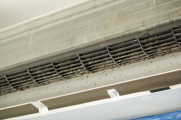 Best Professional Duct Cleaning Services  in Eastwood, LA