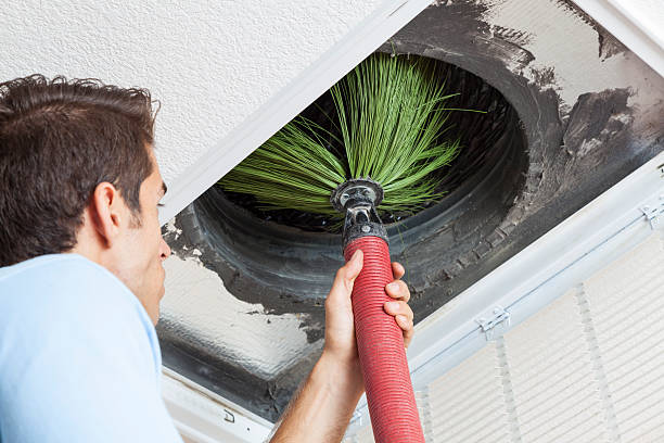 Best Air Duct Cleaning Near Me  in Eastwood, LA